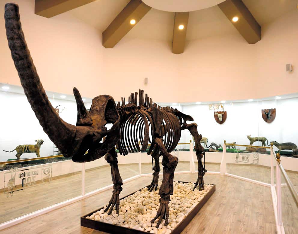 Museum