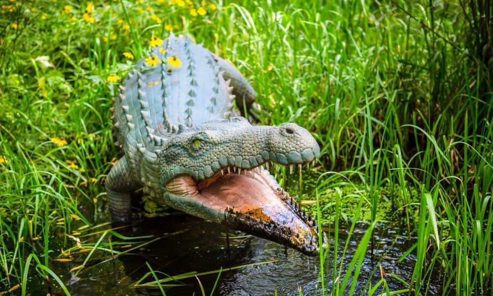 Animatronics Animal for Sale, Animatronic Animal Price & Supplier 19 o751d