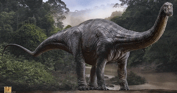 Apatosaurus