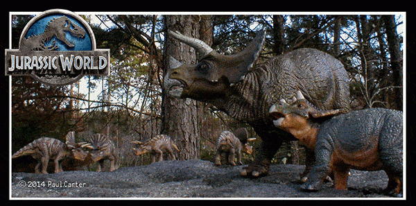 Triceratops