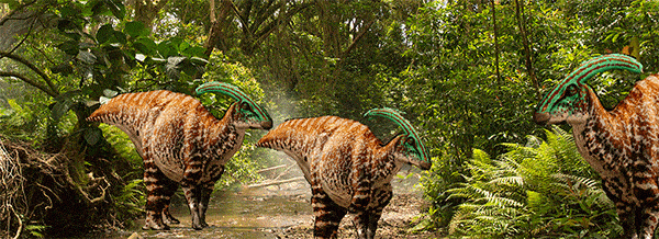 Parasaurolophus