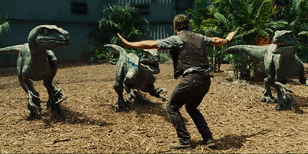 Velociraptor