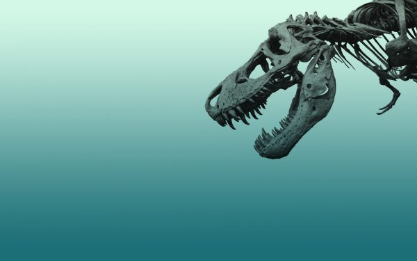 Dinosaur-themed Kid’s Wallpapers You’ll Love 1 dinosaur skeleton wallpaper