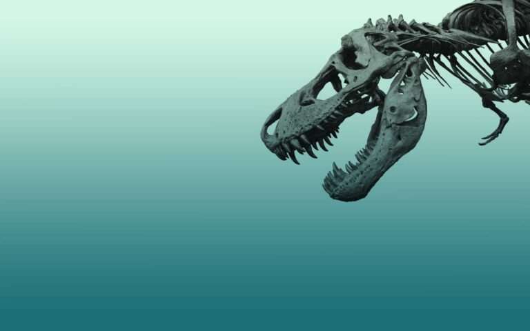 Dinosaur-themed Kid’s Wallpapers You’ll Love 1 dinosaur skeleton wallpaper