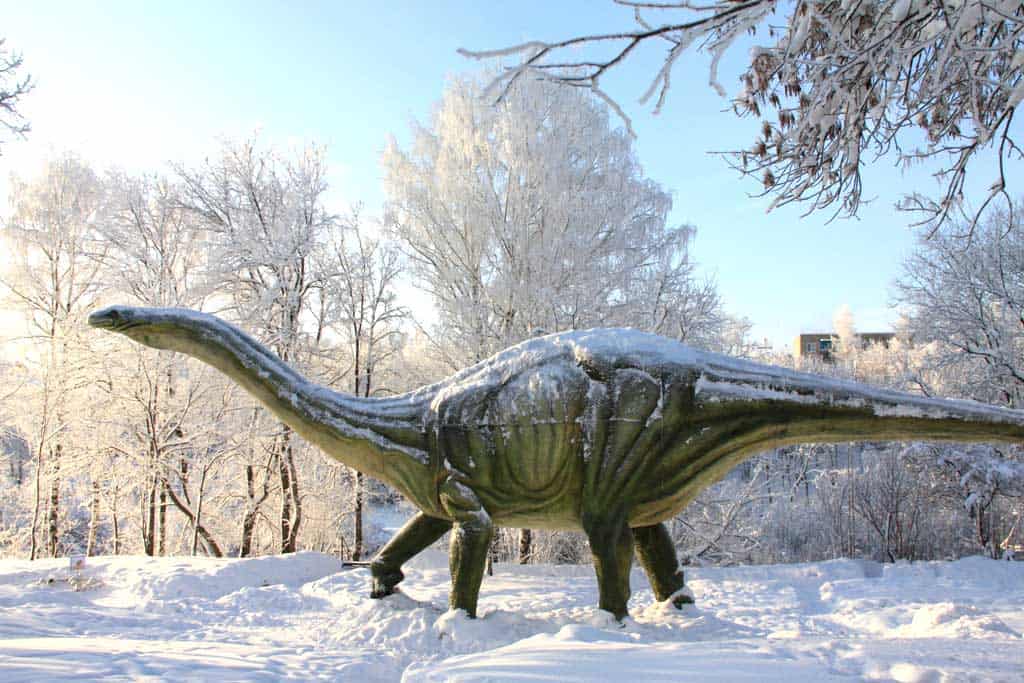 park 1