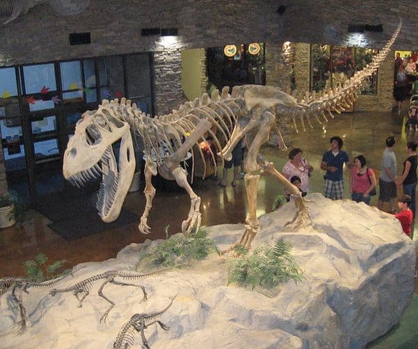 1200px Museum AL dinosaur