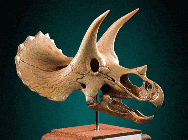 Christmas Gift Ideas for Dinosaur Lovers 1 1