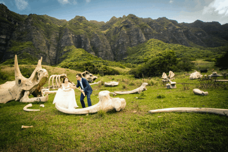 Get Some Ideas About a Jurassic Park Wedding 3 2