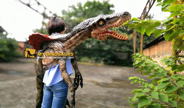 Christmas Gift Ideas for Dinosaur Lovers 2 2