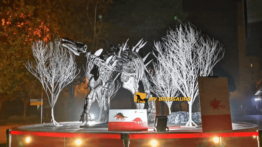 Artificial Dinosaur Skeleton for Decorative Purposes 14 1 5
