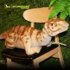 baby Iguanodon 1