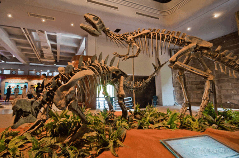 Dinosaur Production Industry in Zigong, China 1 77