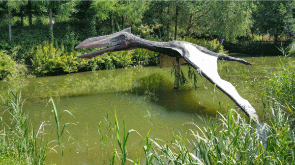 Dinosaurs with Feathers: The Trek from Theropods to Modern Birds 2 flying dinosaur