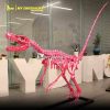 Pink Dinosaur Skeleton velociraptor skeleton