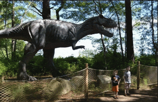 Dino Land Carver Massachusetts