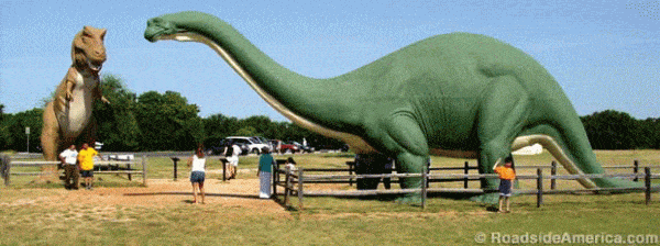 Dinosaur Valley State Park Texas