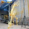 Gold Cow Skeleton 1
