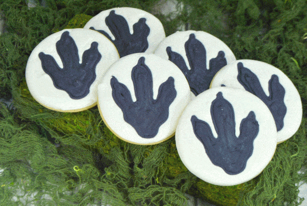 dinosaur cookies