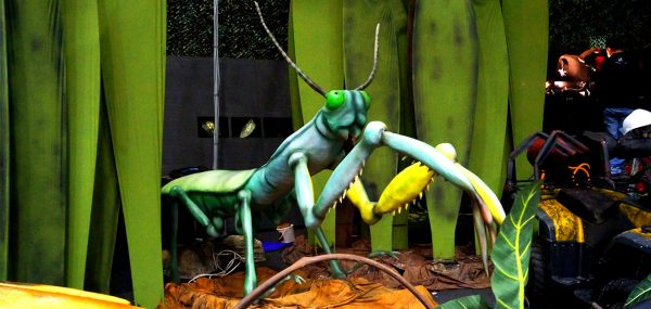 dinosaur insects