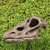 Diplodocus skull 1