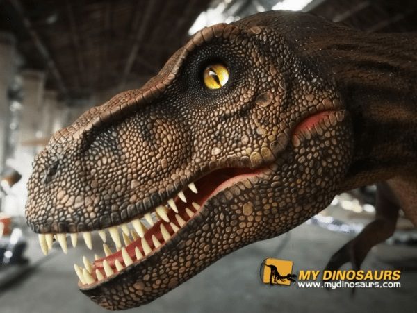 What Should You Notices If Invest a Dinosaur Theme Exhibition? 1 High Quality Dinosaur model