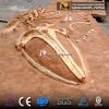 Whale skeleton dig site 1
