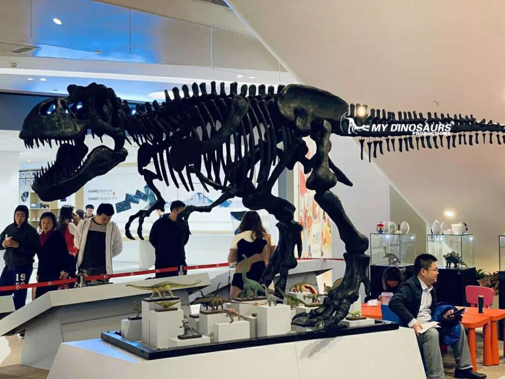 dinosaur fossil replica T rex