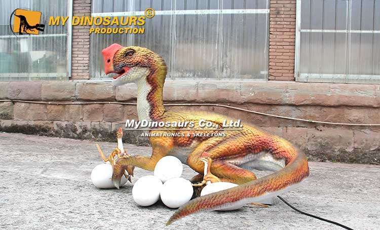AD-139 Life-Size Jurassic Theme Park Animatronics Dinosaur Oviraptor for Sale 4 Animatronic Oviraptor