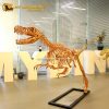 Gold Dinosaur Skeleton