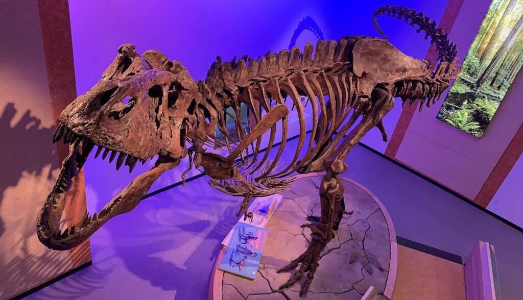 New discoveries of paleontology on dinosaurs in 2020 1 Paleontology age of dinosaur discoveries