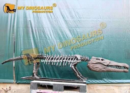 goniopholis skeleton 2