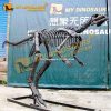 dryosaurus skeleton
