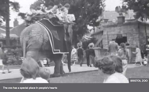 A Childhood Memory for Centuries 1 Bristol Zoo