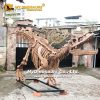 T REX skeleton