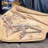 pterosaur cast
