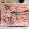 Velociraptor fossil cast