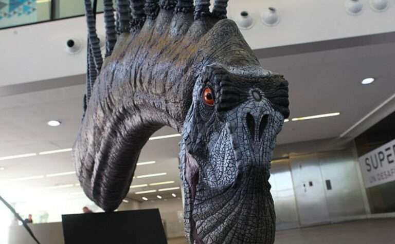 What Are the Most Famous Dinosaur Fossils in the World? 1 dinosaurs have been found