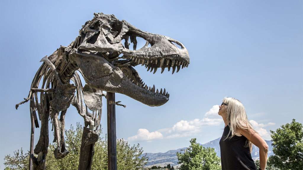 most famous dinosaur skeleton