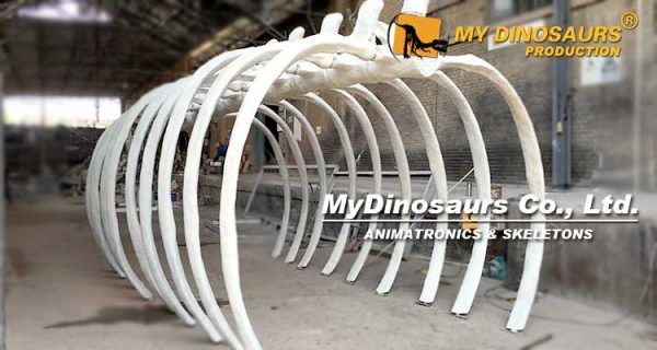 whale ribcage decoration
