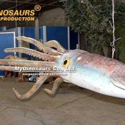 Large squid model