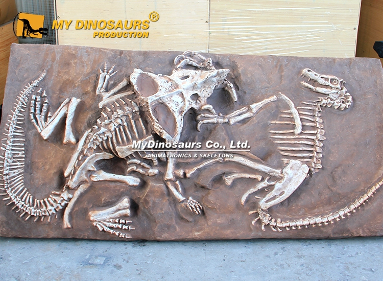 Protoceratops vs Deinonychus Fossil Plate for sale