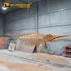 Himalayasaurus skeleton 1