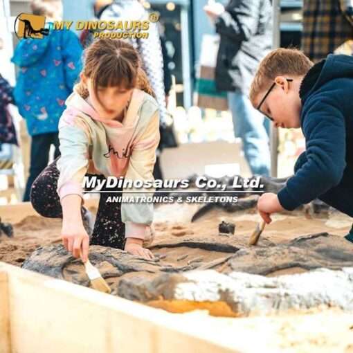 Why an Animatronic Dinosaur Exhibit Still Wins Visitors in a Modern Dinosaur Safari or Dinosaur Park 5 dinosaur fossil dig
