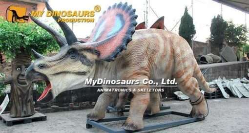 Triceratops animatronic