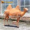 Animatronic camel