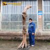 Dinosaur Leg Bone 2