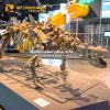 Ankylosaurus Skeleotn Casts