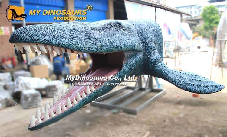 Mosasaurus head