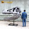 Home Decoration 2.2 M t rex skull