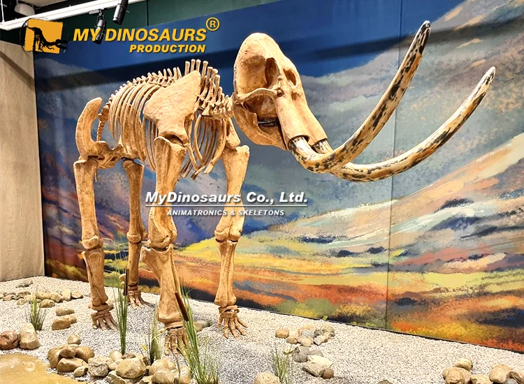 4.5m Mammoth Skeleton Replica